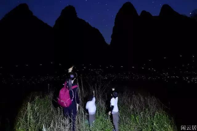 强大的狮子拼图