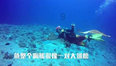 济宁：全力推动港产城融合发展