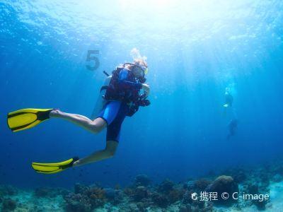 专家解读中国经济2023年终答卷:消费对GDP贡献明显