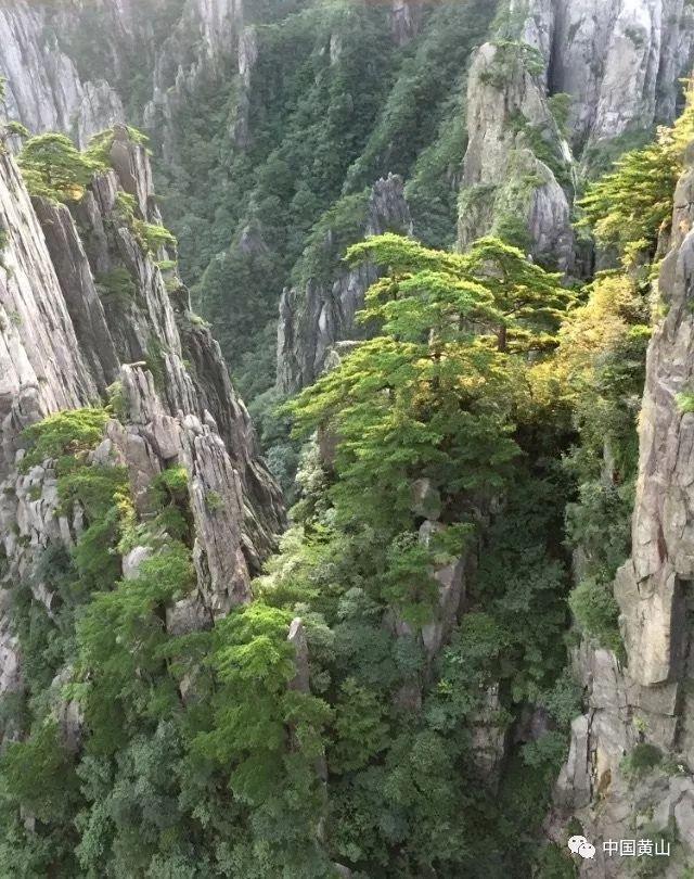 渣渣辉传奇